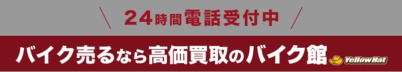 �o�C�N�ُ��T�C�g